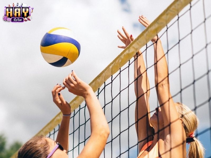 Nhà cái HAYWIN cung cấp cả một hệ sinh thái cá cược bóng chuyền
