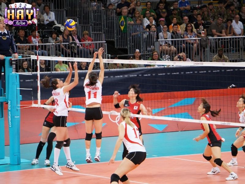 Luật chơi cá độ bóng chuyền được quy định chi tiết