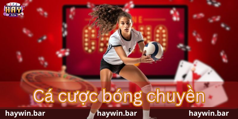 Cá cược bóng chuyền