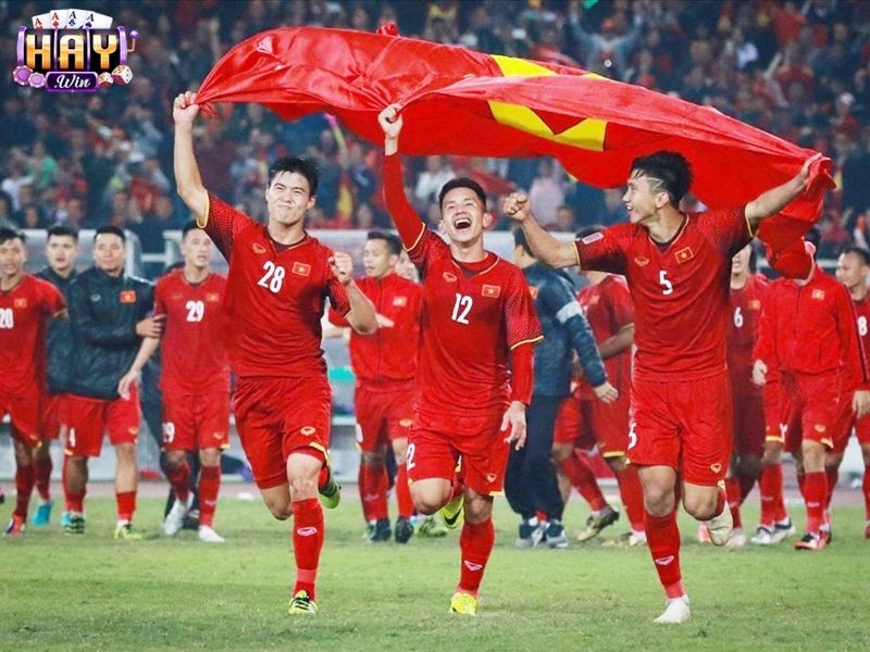 Cá cược bóng đá HAYWIN mở rộng hàng nghìn giải đấu lớn nhỏ