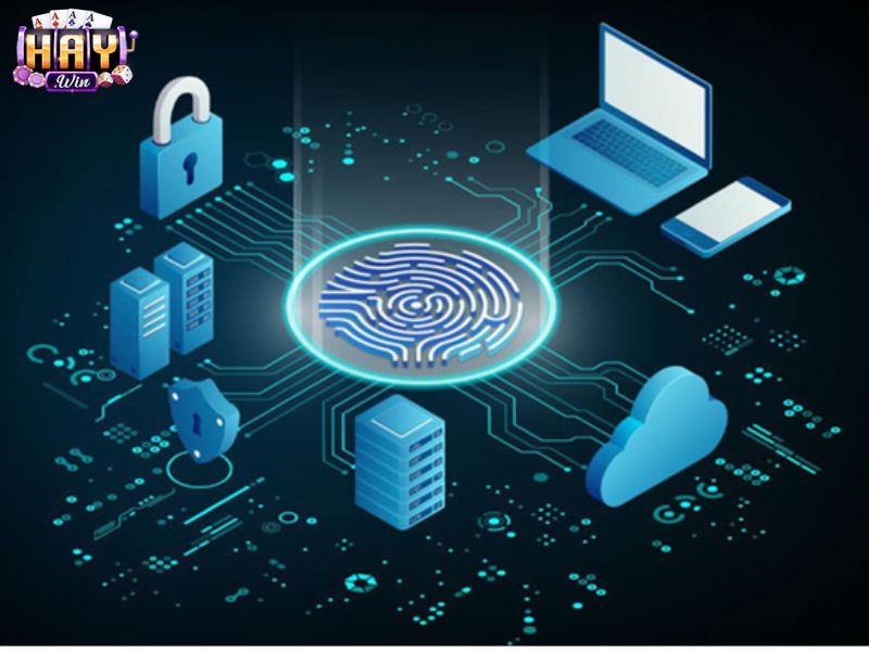 Nền tảng có trách nhiệm bảo vệ thông tin khách hàng