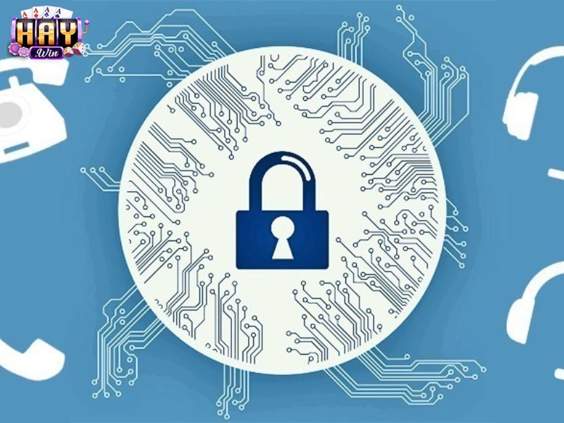 Nền tảng thu thập thông tin đúng dữ liệu được phép