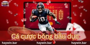 Cá cược bóng bầu dục