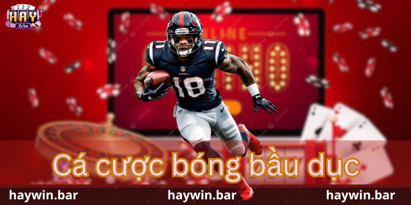 Cá cược bóng bầu dục