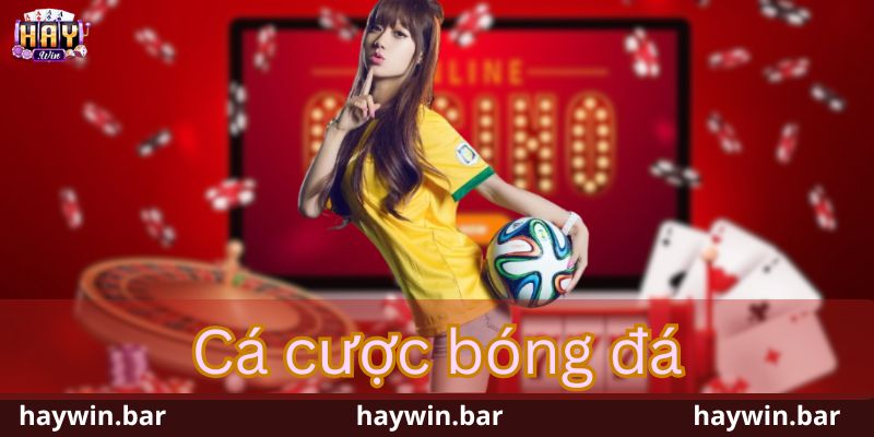 cá cược bóng đá