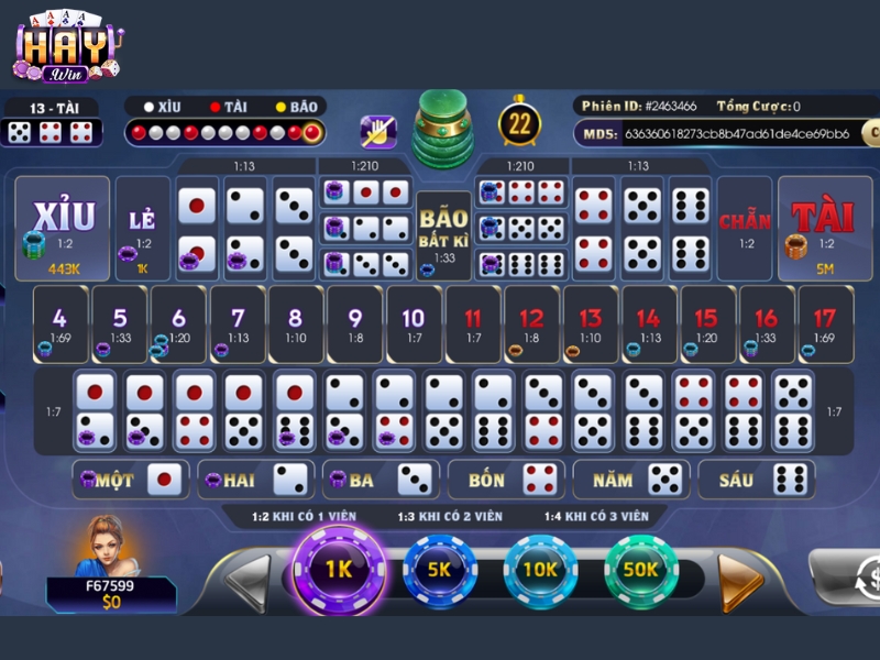 Tìm hiểu chung về Sicbo online tại HAYWIN